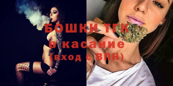 прущие грибы Алексеевка