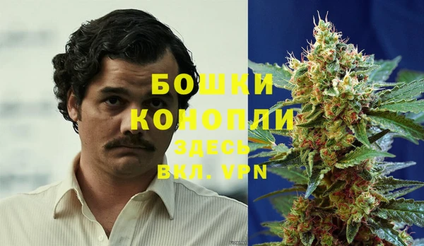 гидра Алзамай