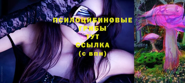прущие грибы Алексеевка