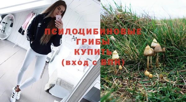 гидра Алзамай