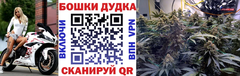 закладки Жердевка Бошки марихуана THC 21%